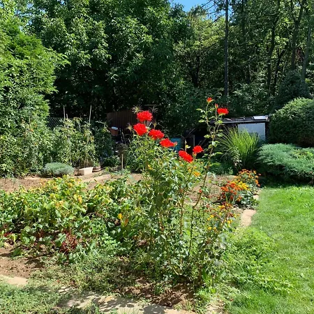 Krasny U Lesa, Trolejbus Do Centra A Bvv, Parkovani Zdarma Brno